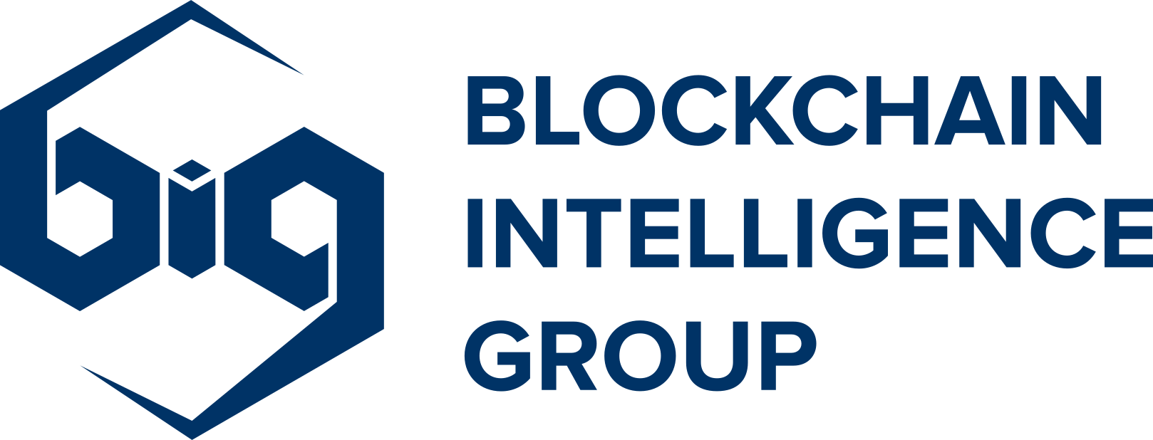 Blockchain Intelliegence Group